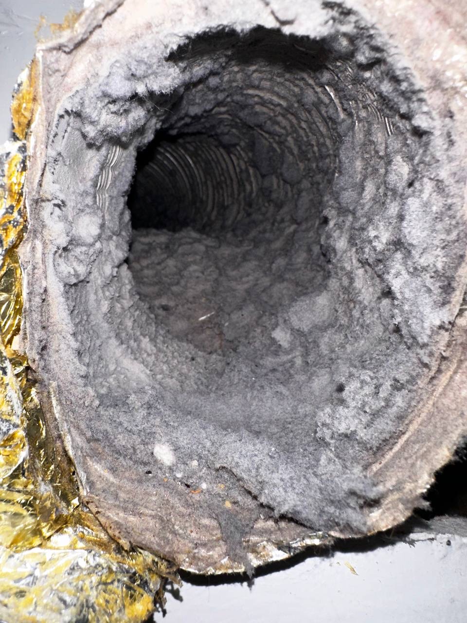 Influence of a Dirty Dryer Vent on Insurance Costs